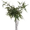 Hill Interiors Eucalyptus Nicholii Spray x 6 stems . - Image 4