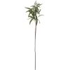 Hill Interiors Eucalyptus Nicholii Spray x 6 stems . - Image 6