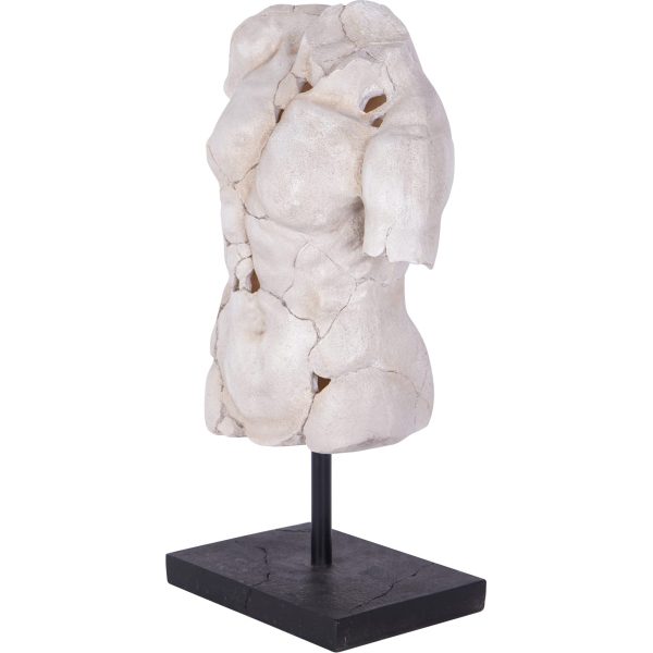 libra interiors Male Torso on Stand - Image 3
