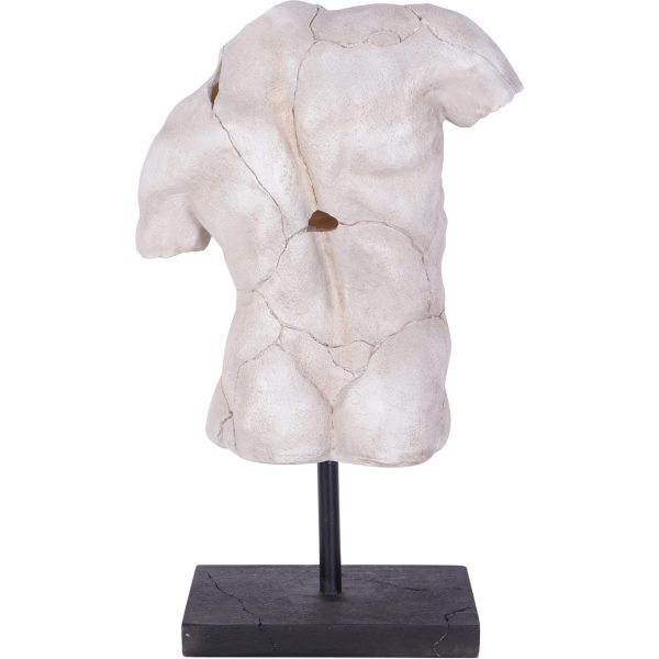 libra interiors Male Torso on Stand - Image 4