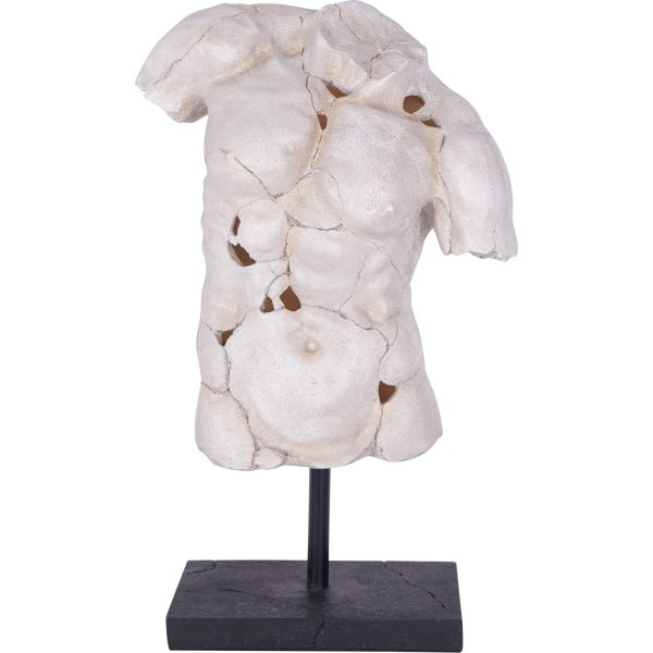 libra interiors Male Torso on Stand