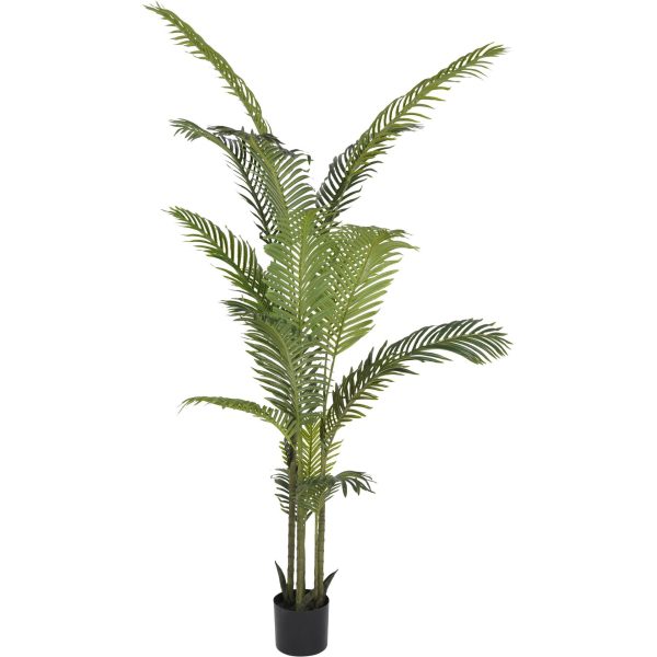 libra interiors Faux Areca Palm 6ft - Image 3