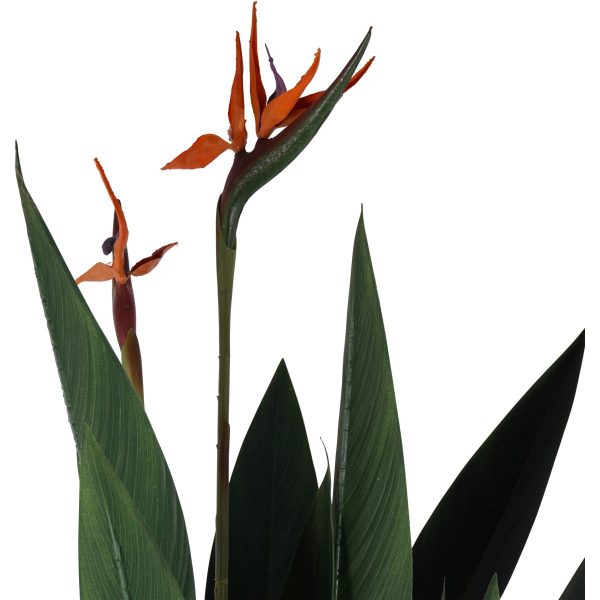 libra interiors Faux Flowering Bird of Paradise Plant 4ft - Image 4