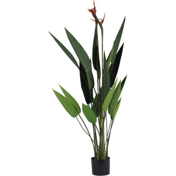 libra interiors Faux Flowering Bird of Paradise Plant 4ft