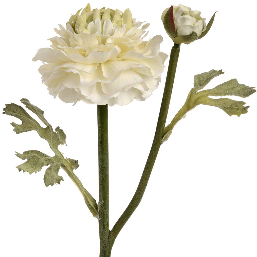 Hill Interiors Green Ranunculus Spray x 3 Stems