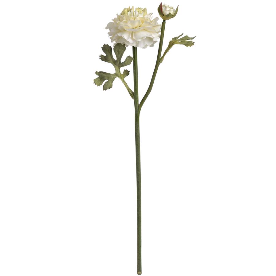 Hill Interiors Green Ranunculus Spray x 3 Stems