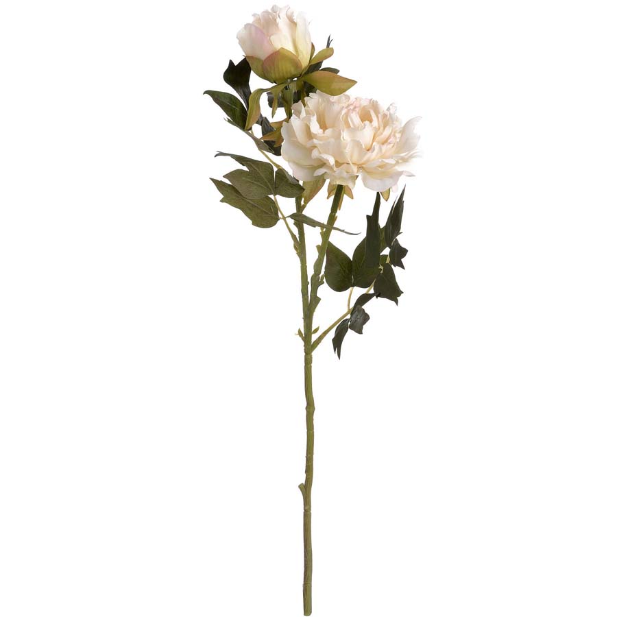 Hill Interiors White Fashion Peony x 3 Stems