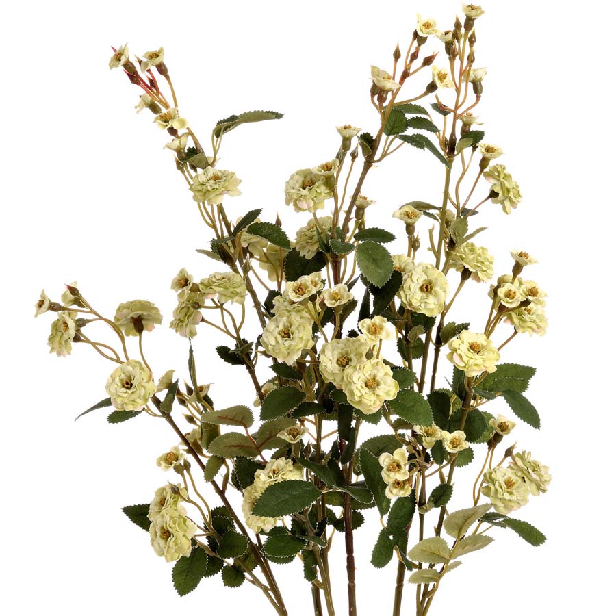 Hill Interiors Green Wild Meadow Rose x Stems