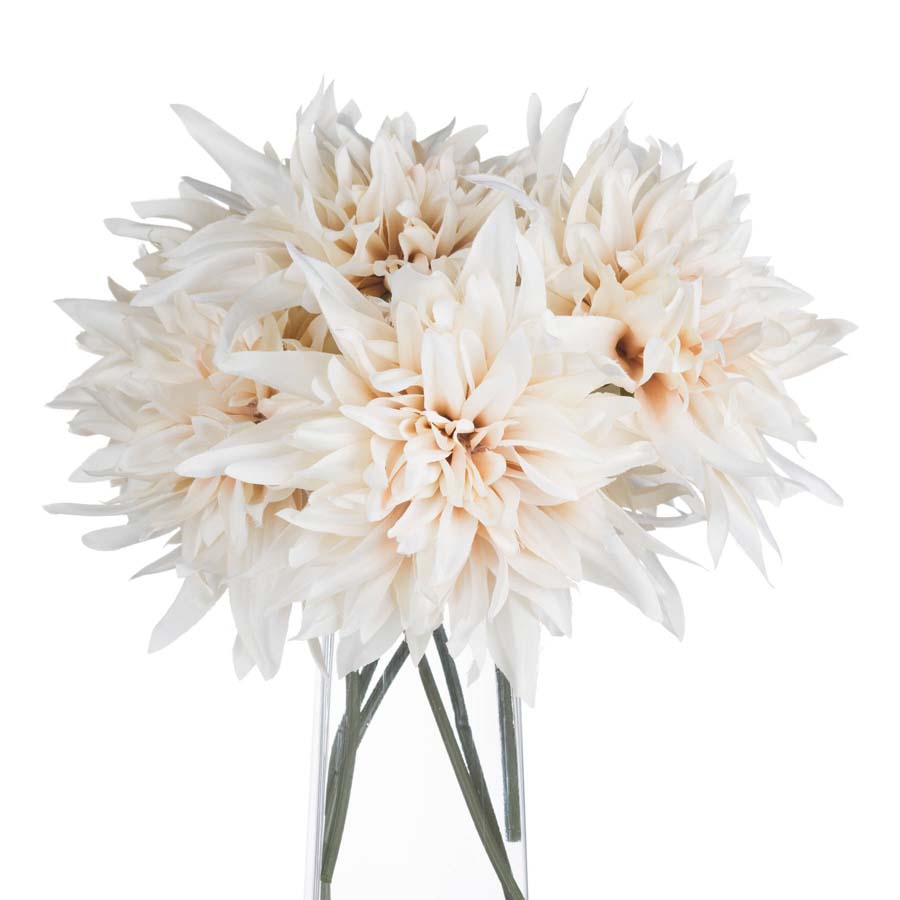Hill Interiors Café Au Lait x 3 Stems