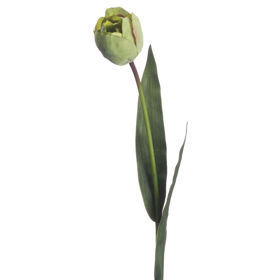 Hill Interiors Green Tulip x 3 Stems