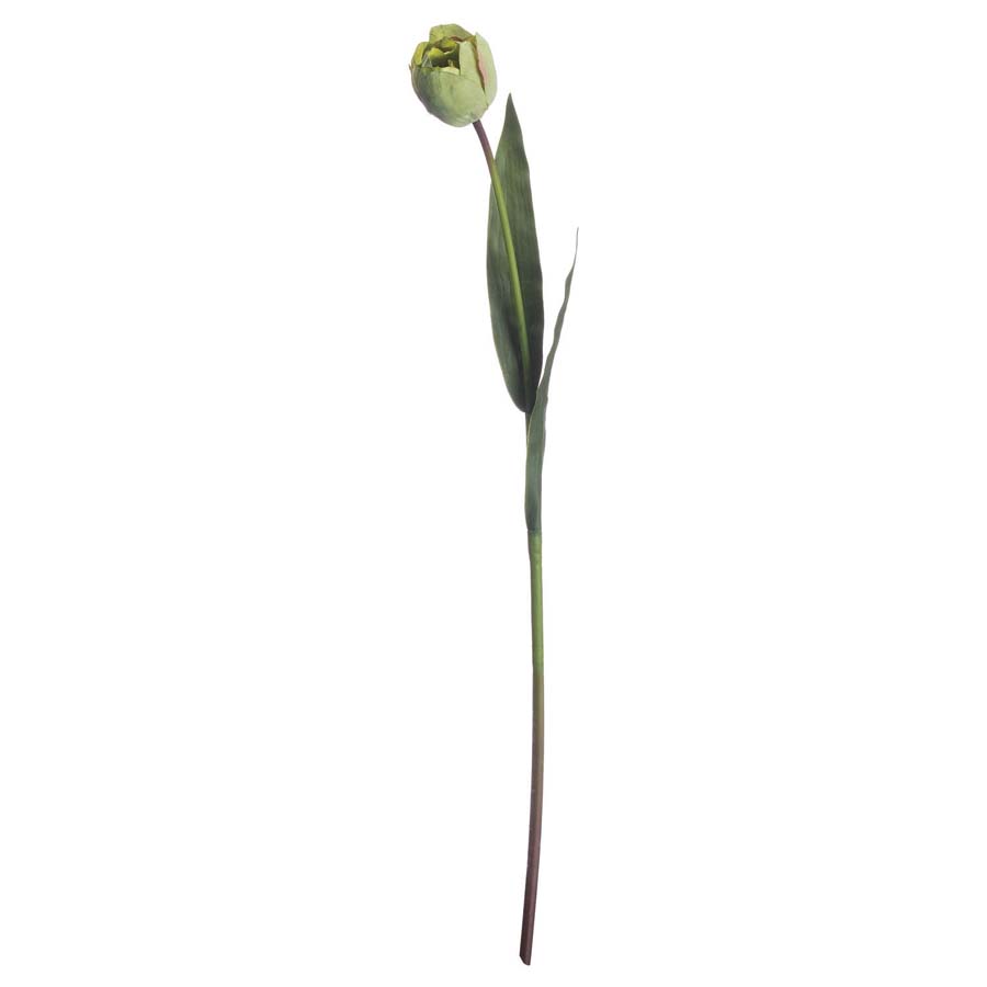 Hill Interiors Green Tulip x 3 Stems