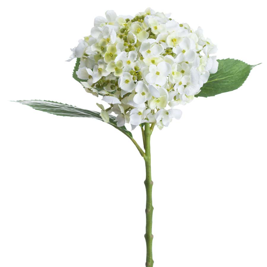 Hill Interiors White Lace Cap Hydrangea x 3 Stems