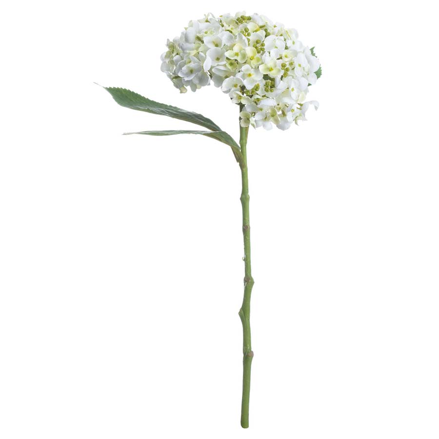 Hill Interiors White Lace Cap Hydrangea x 3 Stems
