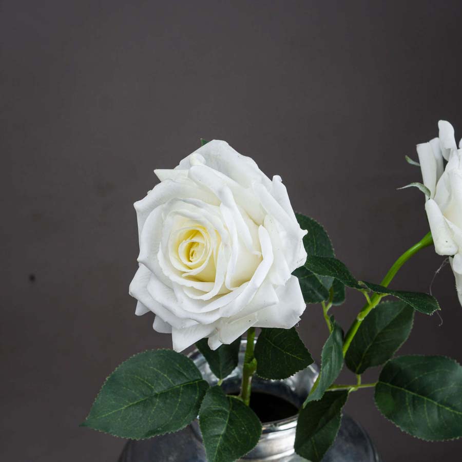 Hill Interiors Large White Garden Rose x 3 Stems