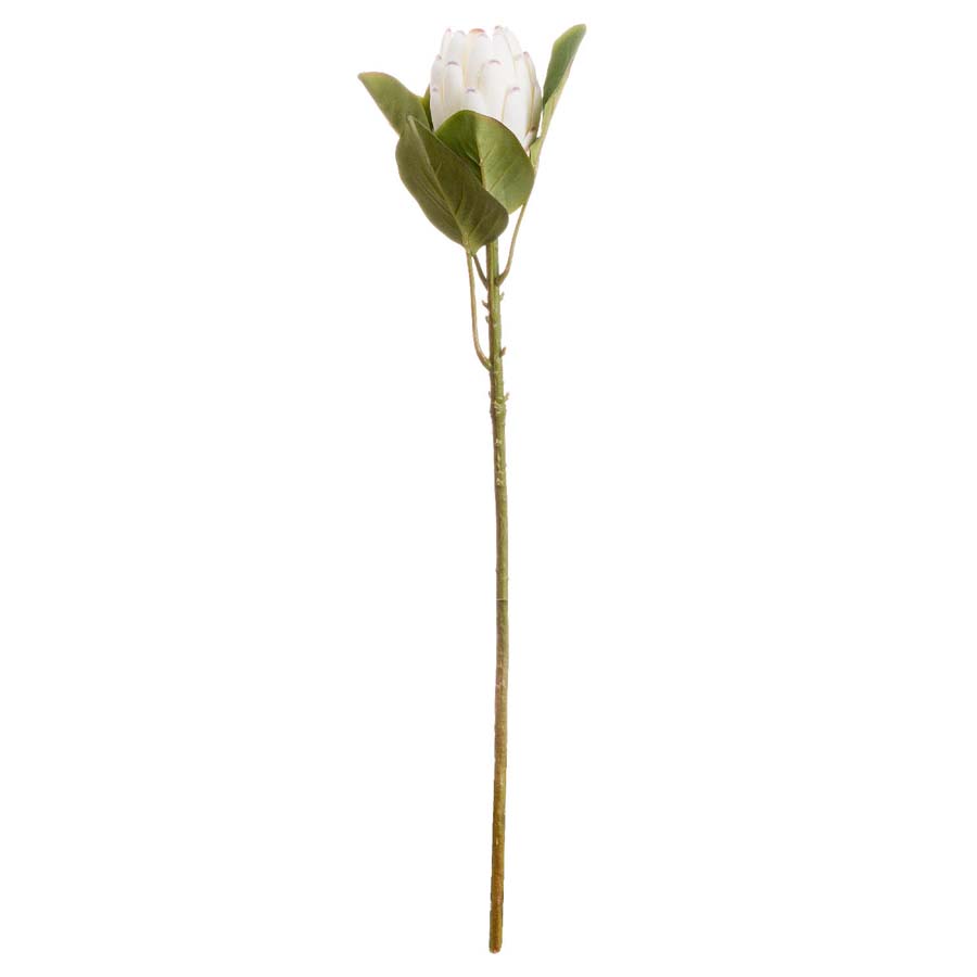 Hill Interiors Closed Faux White Protea x 3 Stems