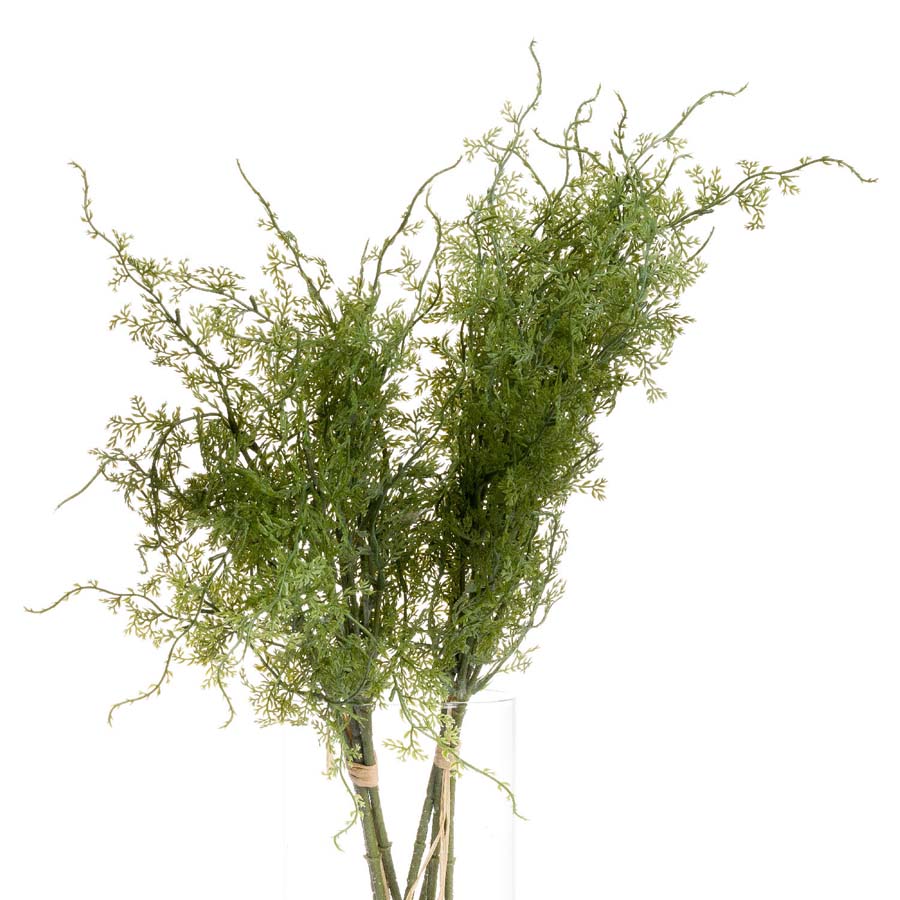Hill Interiors Asparagus Faux Fern Bunch x 3 Stems