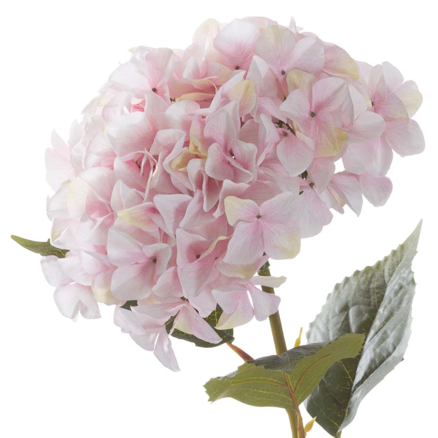 Hill Interiors Giant Pink Hydrangea x 3 Stems