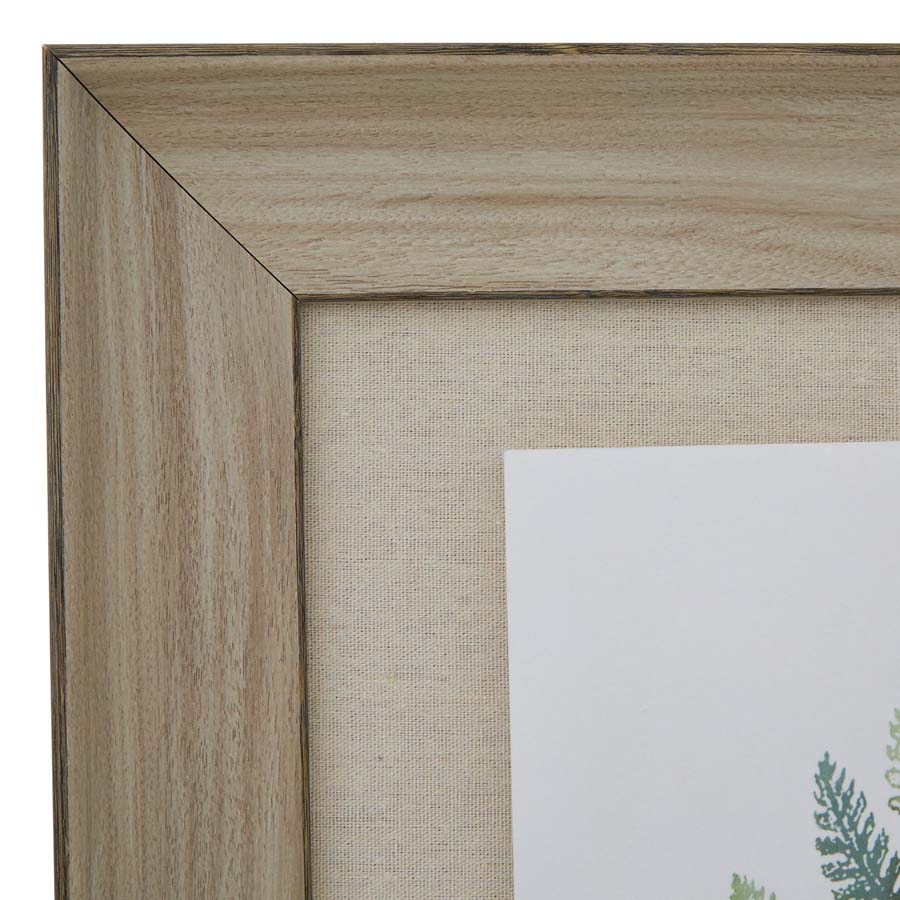 Hill Interiors Watercolour Fern Duo In Washed Wood Frame