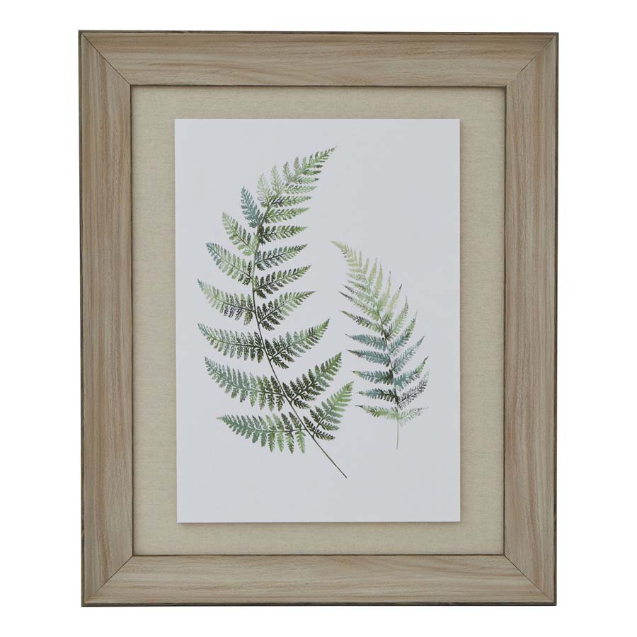Hill Interiors Watercolour Fern Duo In Washed Wood Frame