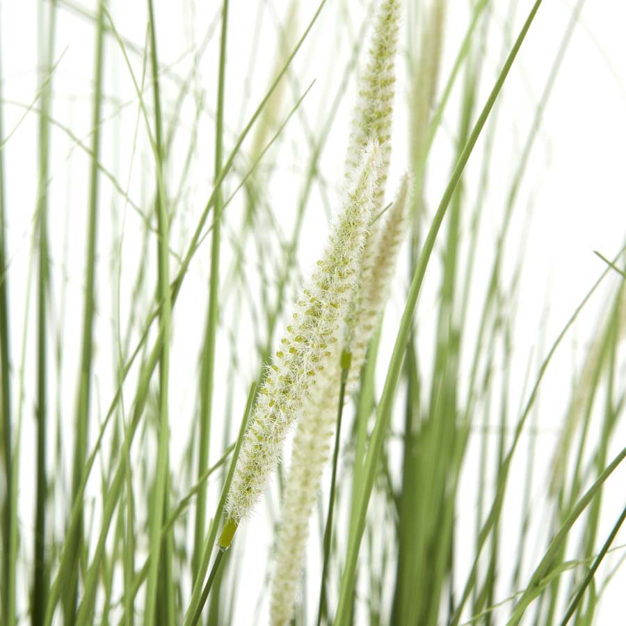 Hill Interiors Large Onion Grass Plant In Pot