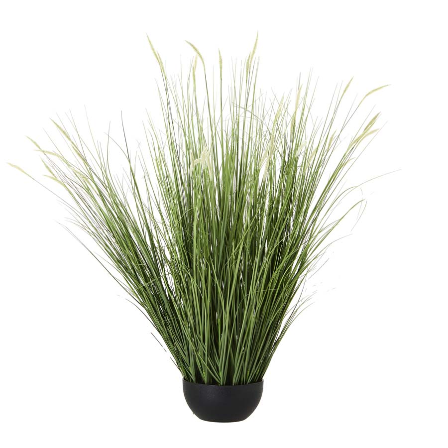 Hill Interiors Large Onion Grass Plant In Pot