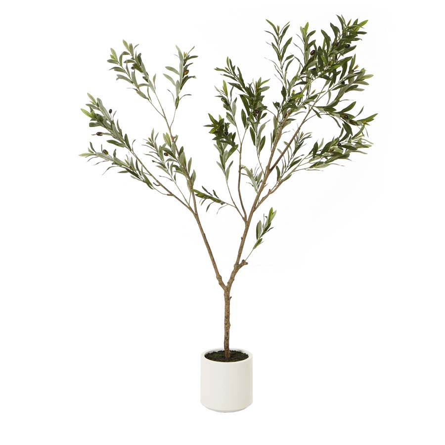 Hill Interiors Apulia Olive Tree In White Pot 180Cm