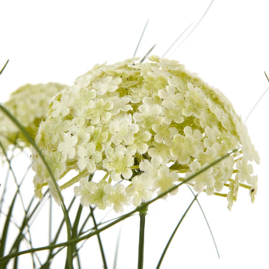 Hill Interiors White Allium Plant In Pot