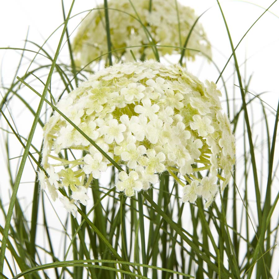 Hill Interiors Large White Allium Plant In Pot