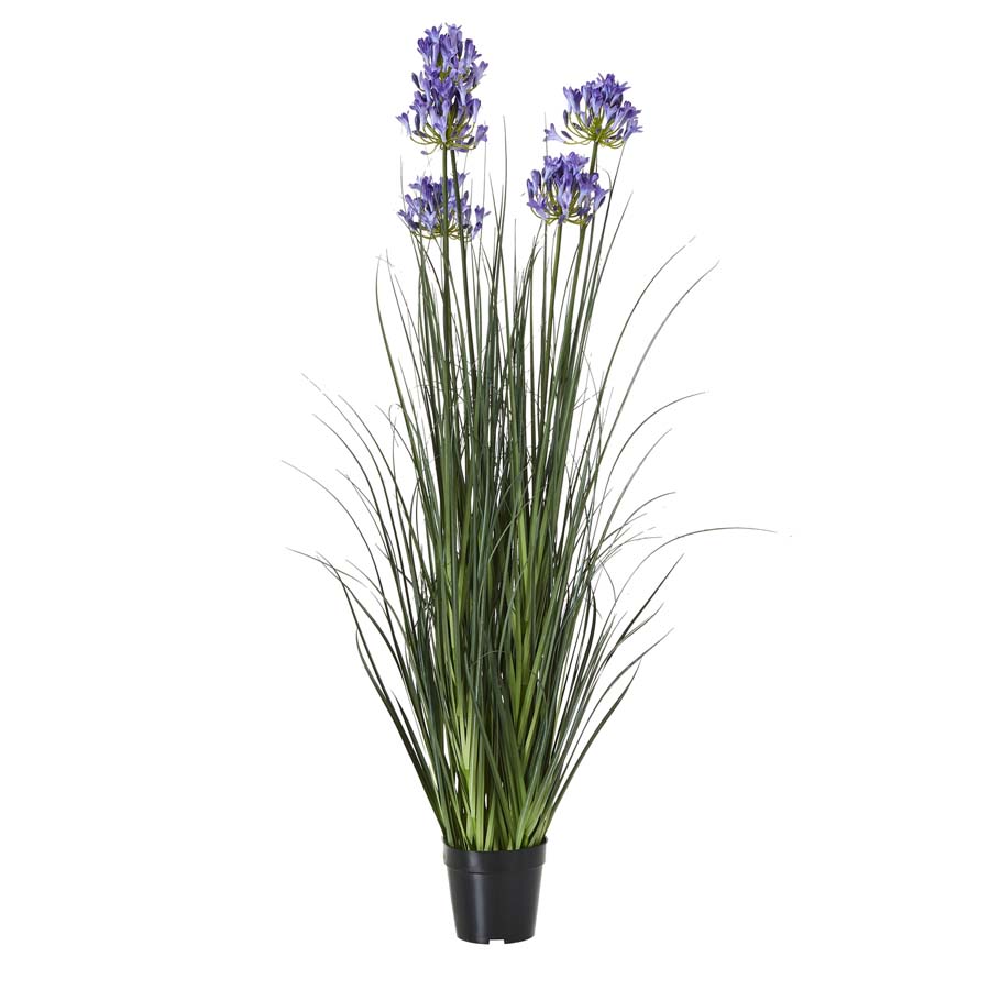 Hill Interiors Large Blue Agapanthus Plant In Pot