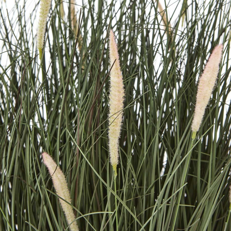 Hill Interiors Large Fountain Grass Plant In Pot