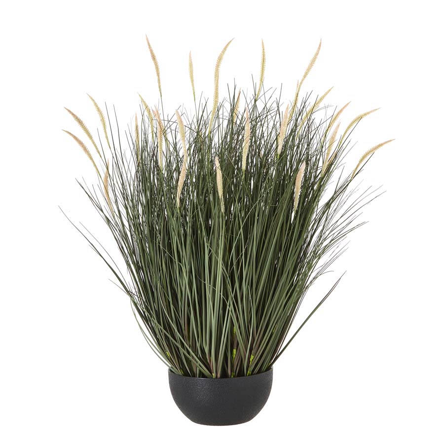 Hill Interiors Large Fountain Grass Plant In Pot
