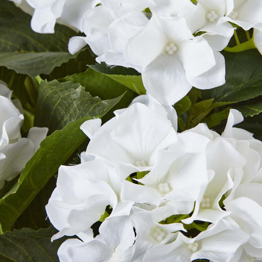 Hill Interiors Large White Hydrangea Plant In Pot