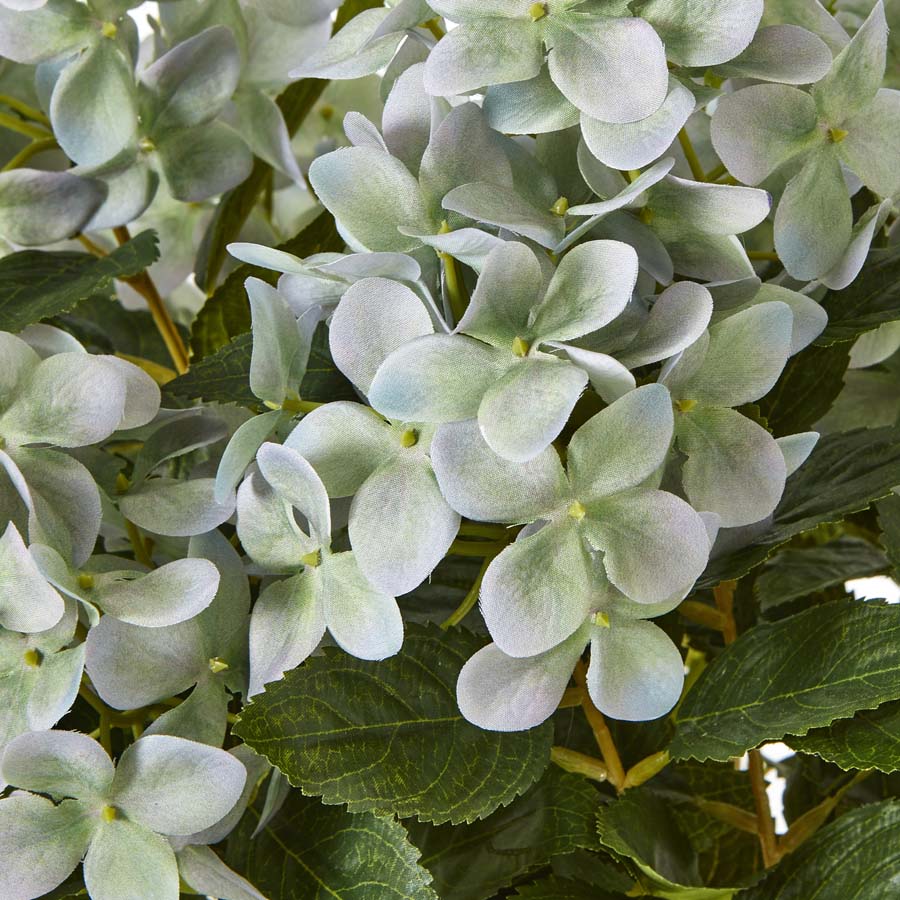 Hill Interiors Medium Green Hydrangea Plant In Pot
