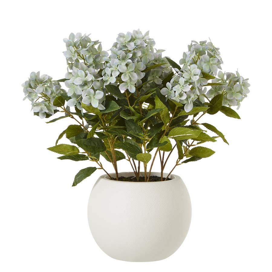 Hill Interiors Medium Green Hydrangea Plant In Pot