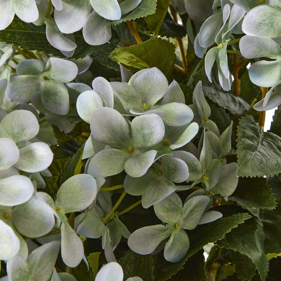 Hill Interiors Large Green Hydrangea Plant In Pot