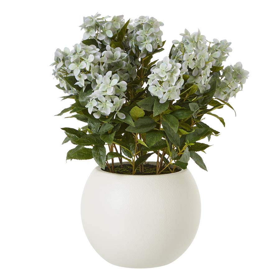 Hill Interiors Large Green Hydrangea Plant In Pot