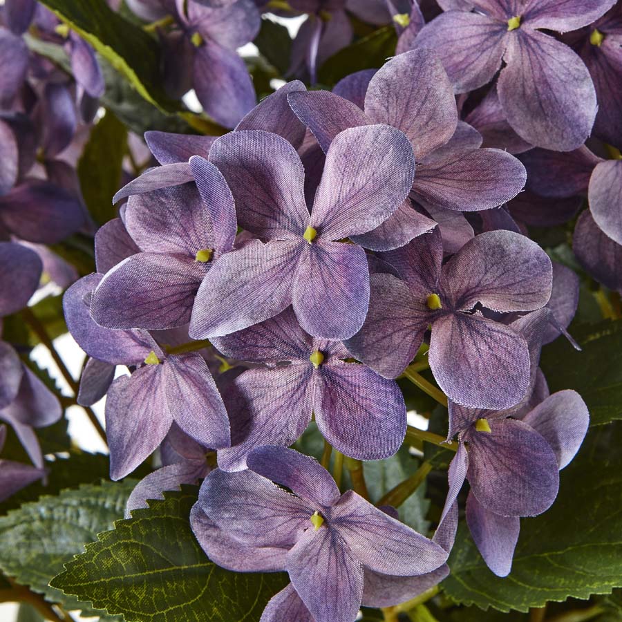Hill Interiors Medium Purple Hydrangea Plant In Pot
