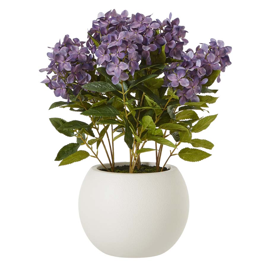 Hill Interiors Medium Purple Hydrangea Plant In Pot
