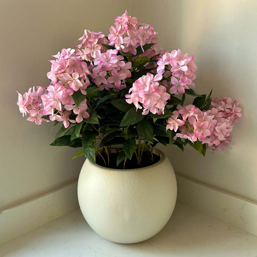 Hill Interiors Large Pink Hydrangea Plant In Pot