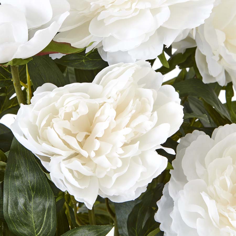 Hill Interiors Large White Peony Plant In Pot