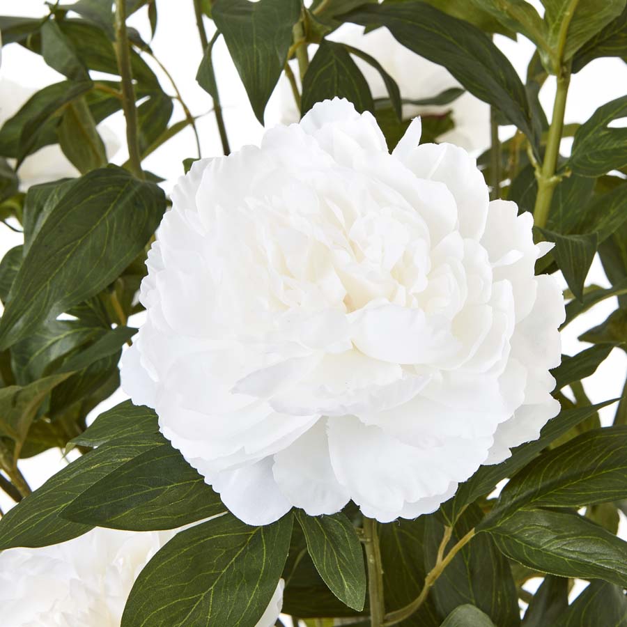 Hill Interiors Extra Large White Peony Bush In Pot