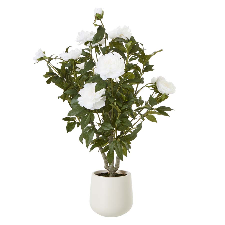 Hill Interiors Extra Large White Peony Bush In Pot