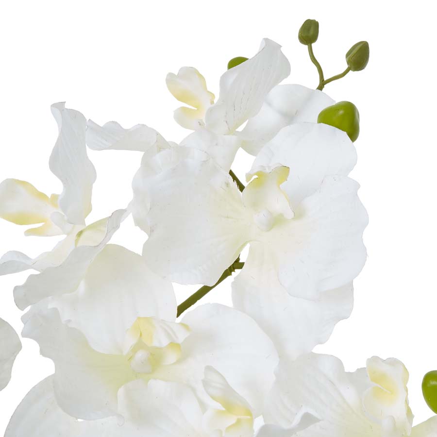 Hill Interiors White Vanda Orchid Plant In Ceramic Pot