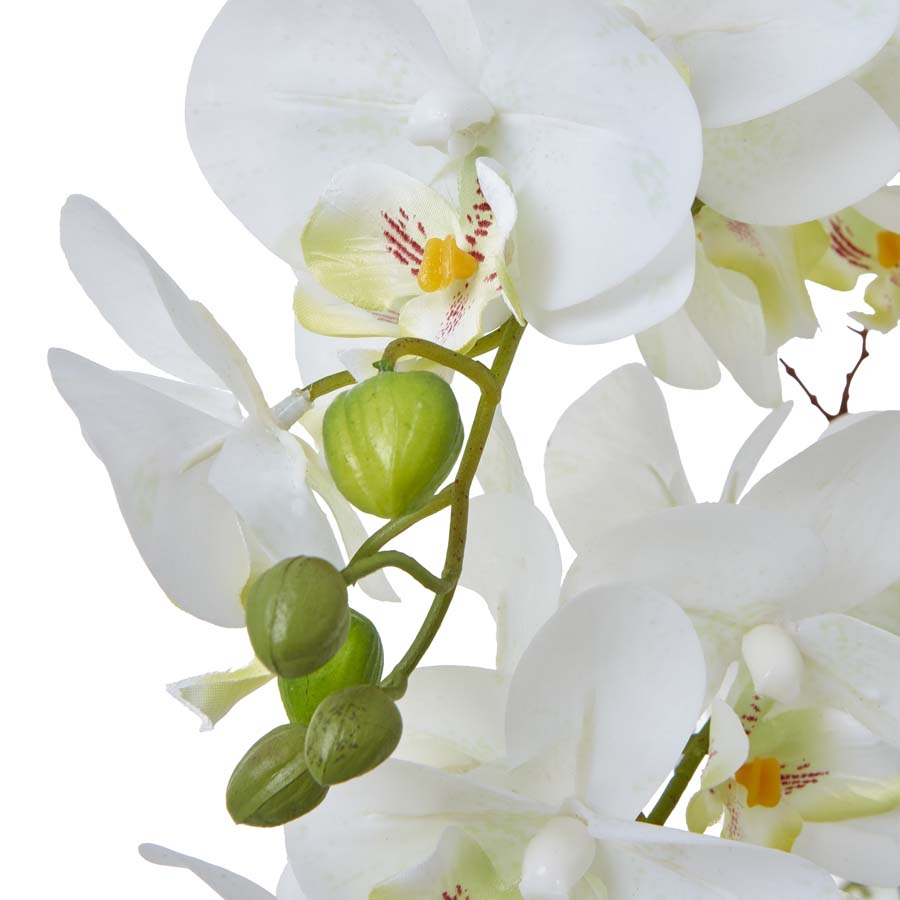 Hill Interiors Large White Orchid In Ceramic Pot