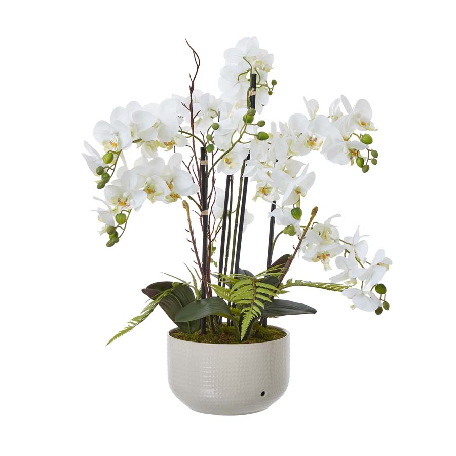 Hill Interiors Large White Orchid In Ceramic Pot