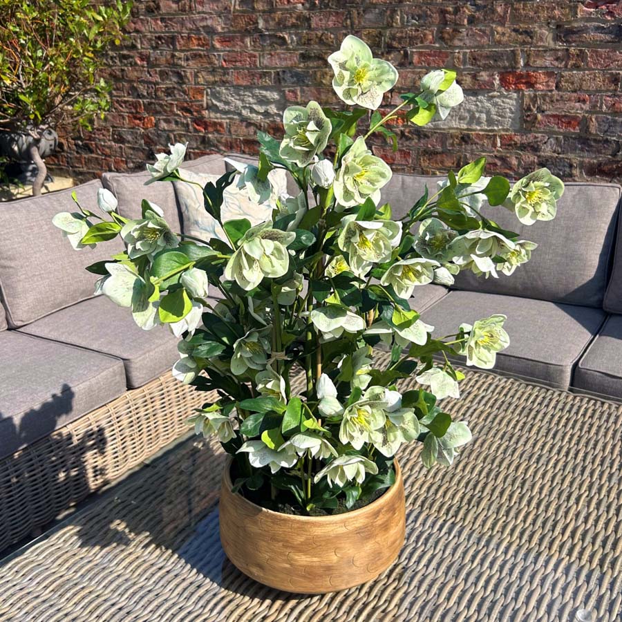 Hill Interiors Large Green Hellebore in Taupe Pot