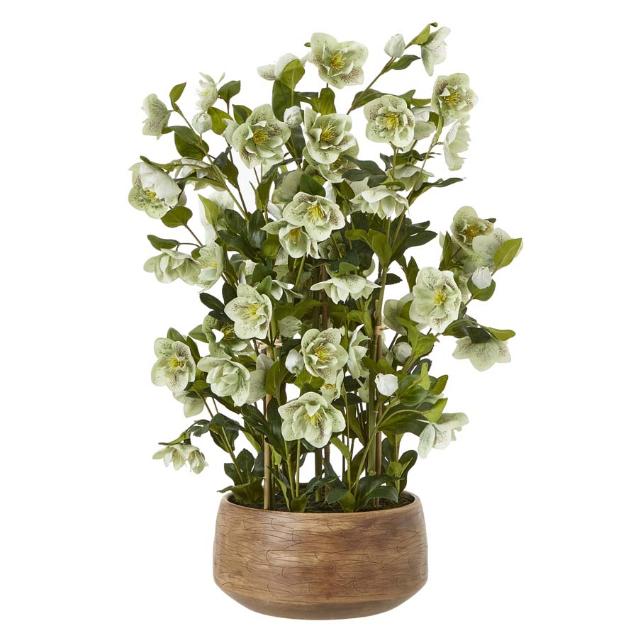 Hill Interiors Large Green Hellebore in Taupe Pot