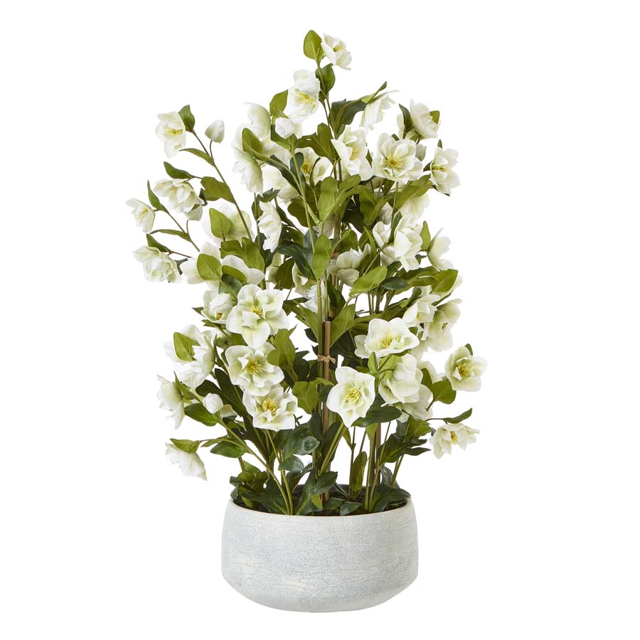 Hill Interiors Large White Hellebore In Grey Pot