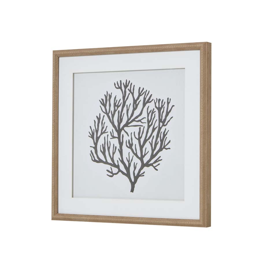Atol Coral Art Mounted In Beaded Frame Atol Coral Art Mounted In Beaded Frame