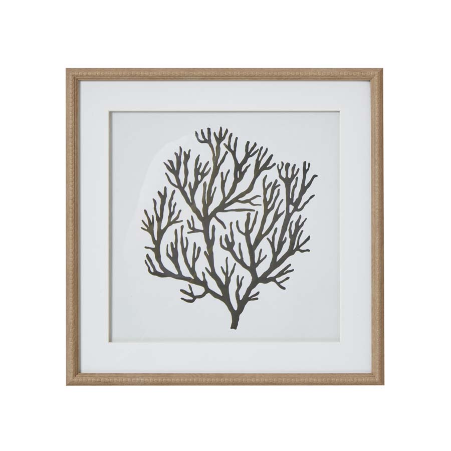 Atol Coral Art Mounted In Beaded Frame Atol Coral Art Mounted In Beaded Frame